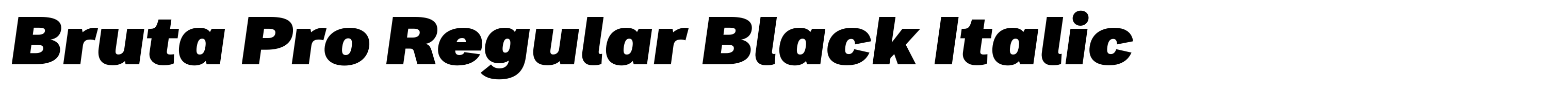 Bruta Pro Regular Black Italic